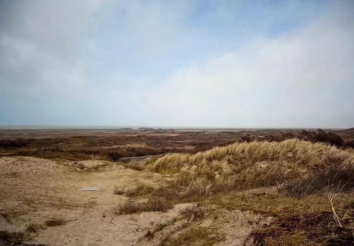 Le Brighton Cayeux-sur-Mer